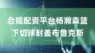 合规配资平台杨瀚森篮下切球封盖布鲁克斯