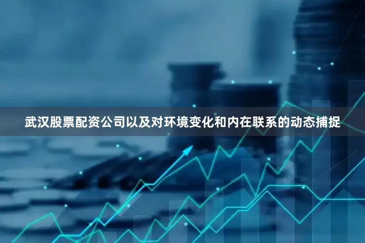 武汉股票配资公司以及对环境变化和内在联系的动态捕捉